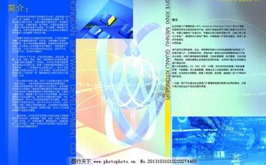 软件开发 从概念到成品的艺术与工程